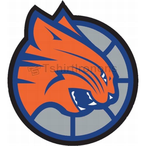 Charlotte Bobcats T-shirts Iron On Transfers N927